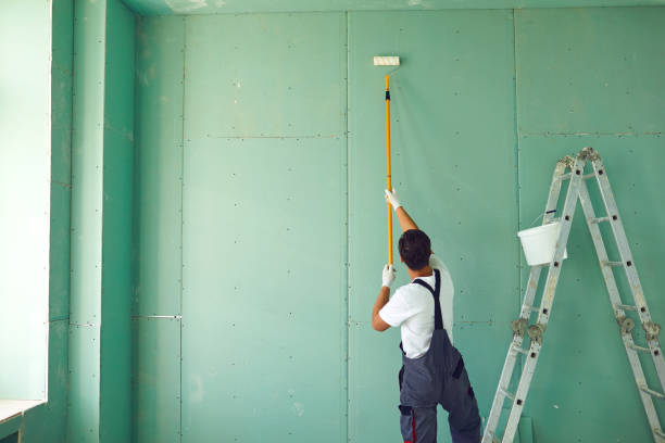 Best Comprehensive Air Testing for Mold Contaminants  in Pueblo West, CO