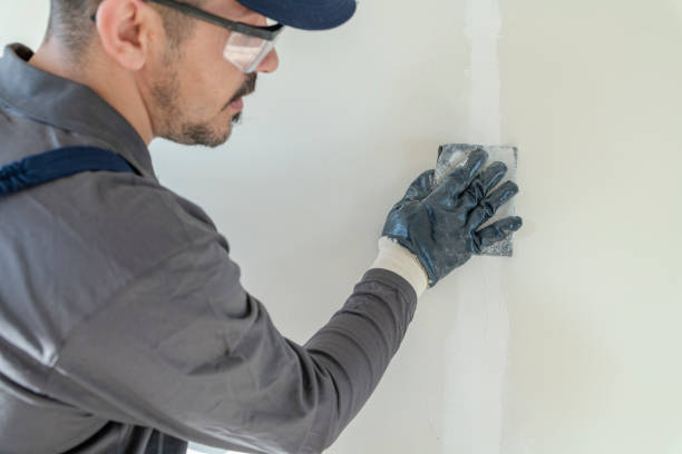 Best Commercial Mold Inspection  in Pueblo West, CO